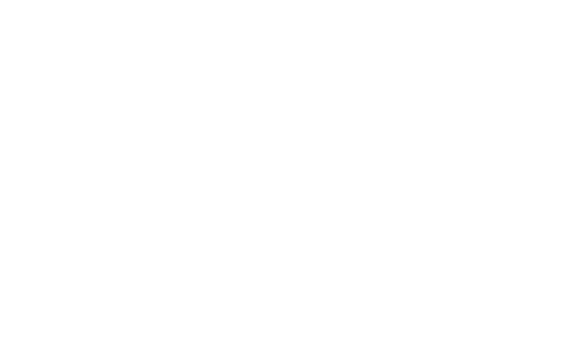 Belle Cherie Logo